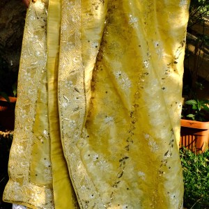 banarasi muga silk chikankari dupatta-traditional party wear
