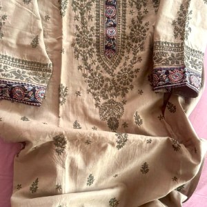 Fossil grey Linen Chikankari Kurti With Kalamkari Border - Image 3