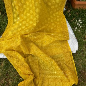 yellow doria kota chikankari saree with mirror work and lace edging