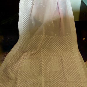 Pink pure cotton handmade Chikankari saree with blouse - Image 4