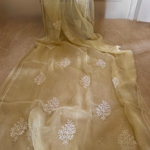 Pastel yellow pure organza chikankari saree with pearl work