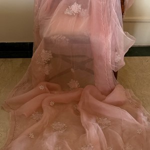 Blush peach pure organza chikankari saree with pearl work