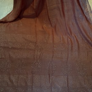 Cinnamon Brown pure mulmul chikankari saree & blouse with mukaish work