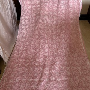 Charming pink pure cotton Kota doria chikankari saree with handcrafted jaal Tepchi work & delicate lace border