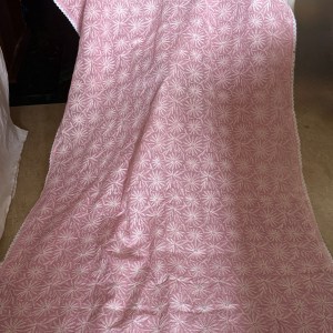 Charming pink pure cotton Kota doria chikankari saree with handcrafted jaal Tepchi work & delicate lace border - Image 2