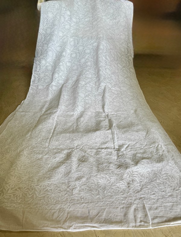 Frost white Kota doria allover Tepchi work Chikankari saree