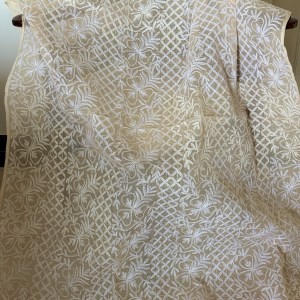 Fawn pure cotton Kota chikankari Tepchi work Chikankari dupatta