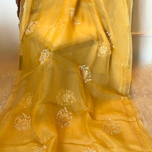 Golden yolk pure organza chikankari saree with pearl & bead work