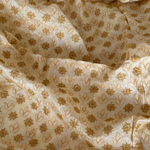 Fawn Tussar Silk Chikankari Kurta Piece